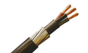 10mm X 3 Core Armoured Cable /M