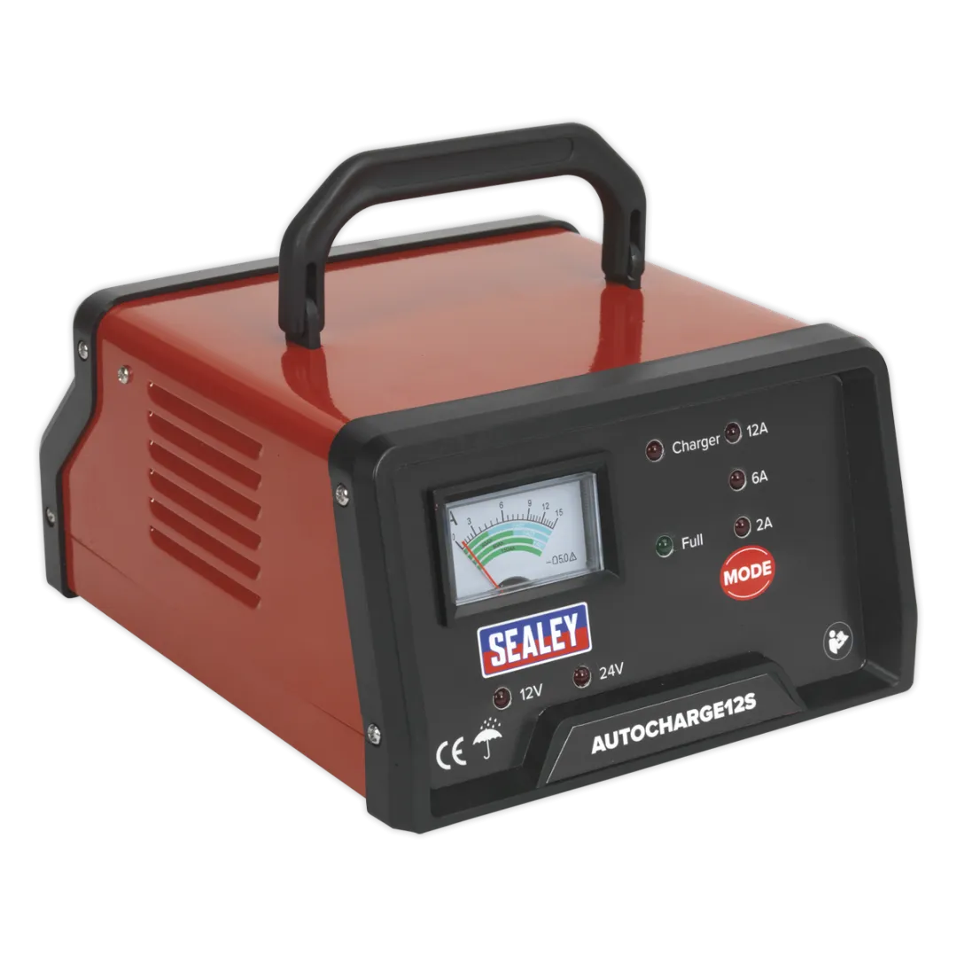 Auto Maintenance High Frequency Battery Charger 12-24V 12Amp