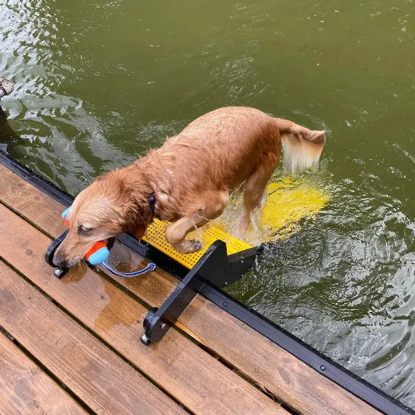 Dock Dog Ladder