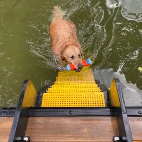 Dock Dog Ladder