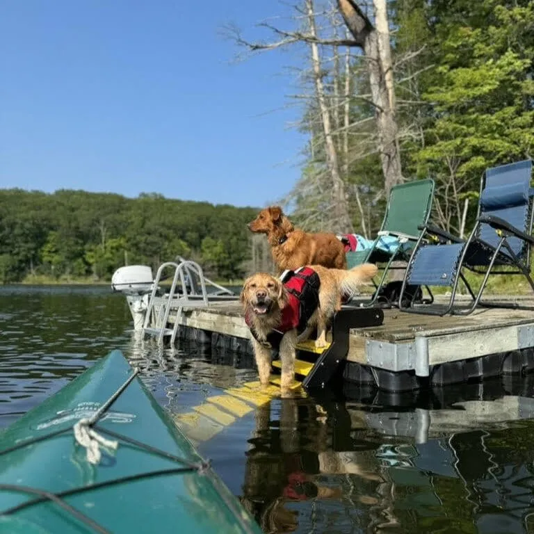 Dock Dog Ladder