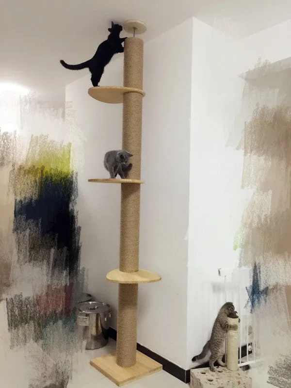 Full Length Floor-to-Ceiling Thick Pole Wooden Cat Climbing Tree