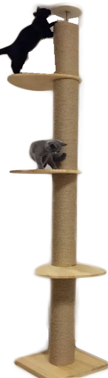 Full Length Floor-to-Ceiling Thick Pole Wooden Cat Climbing Tree